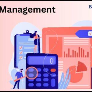 budget management system proejct in vb.net